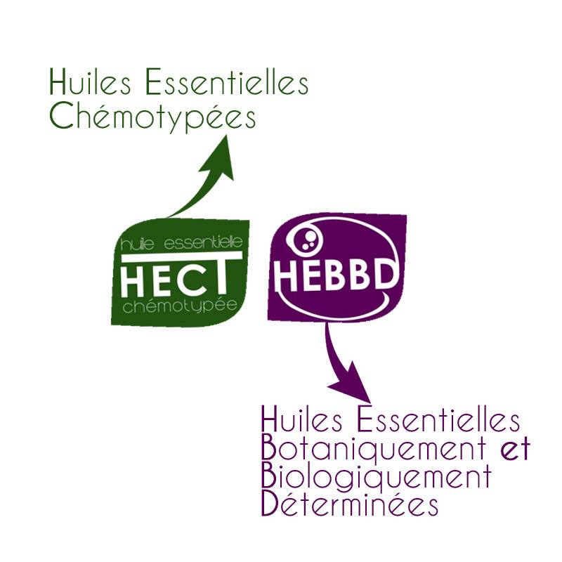 Huile essentielle bio chémotypée
