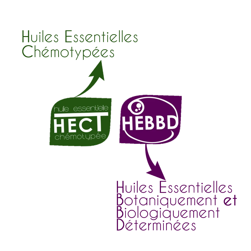 Huile essentielle chémotypée
