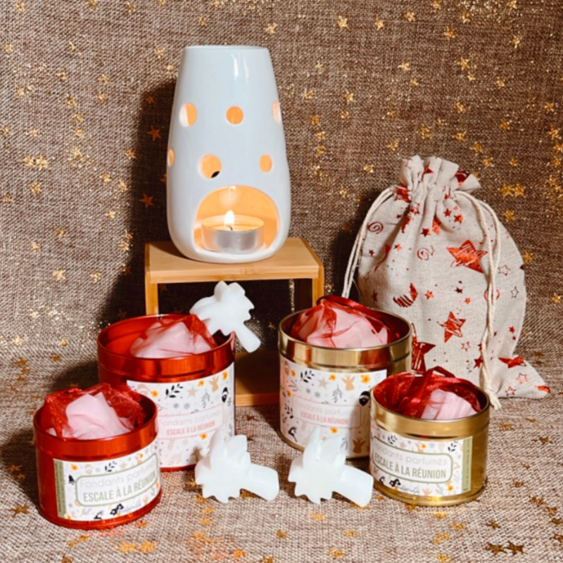 Fondants parfumés pour brûle parfums Macaron Vanille escale à la réunion