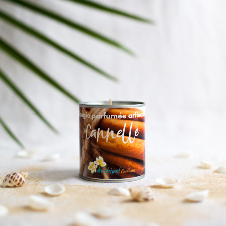 Bougie parfumée artisanale Cannelle 240G