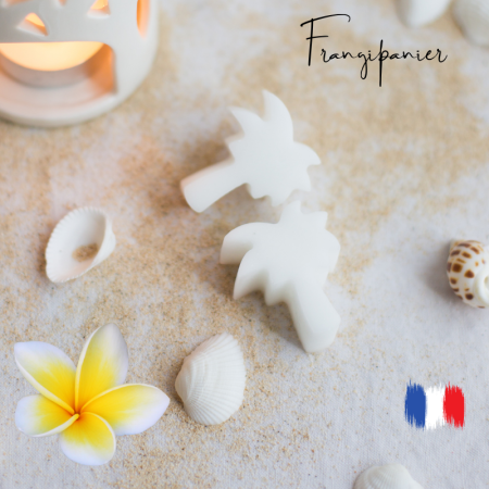 Fondants parfumés Frangipanier pour brule parfums