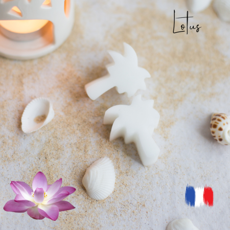 Fondants parfumés lotus parfum de Grasse