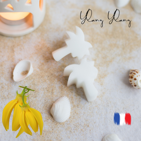 Fondants parfumés Ylang Ylang pour brûle parfums
