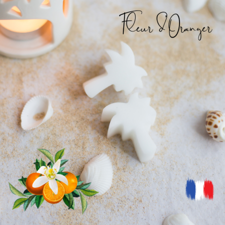 Fondants parfumés à la fleur d'oranger pour brûle parfum