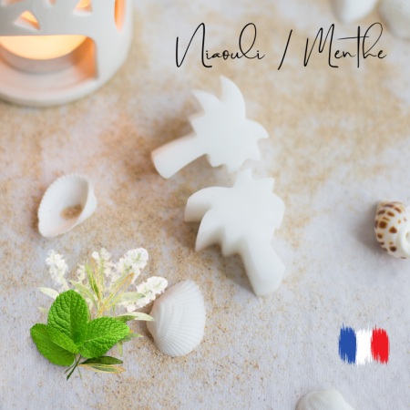 Fondants parfumés Niaouli et Menthe Poivrée pour brule parfums