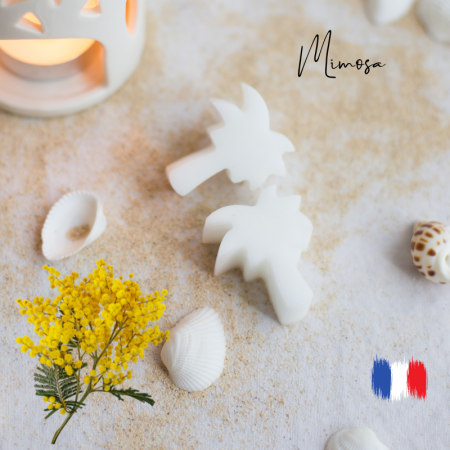 Fondants parfumés Mimosa