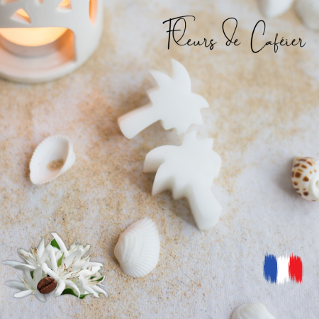 Fondants parfumés Fleur de caféier