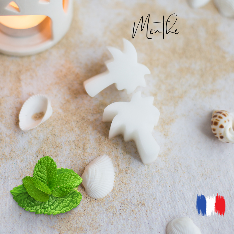 Fondants parfumés menthe fraîche pour brule parfum