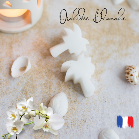 Fondants parfumés orchidée blanche