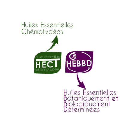 Huile essentielle de Niaouli 100% pure et naturelle