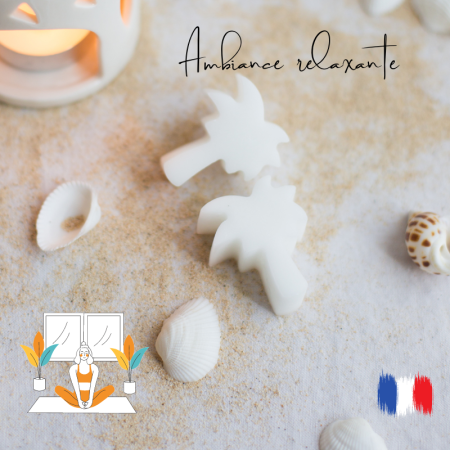 Fondants parfumés ambiance relaxante pour brule parfum