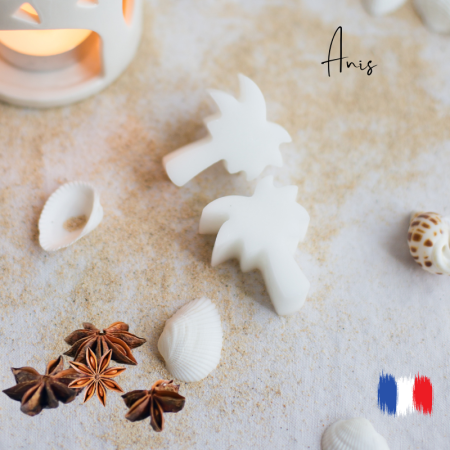 Fondants parfumés Anis étoilé