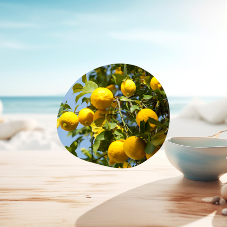 Huile essentielle de Citron utilisation
