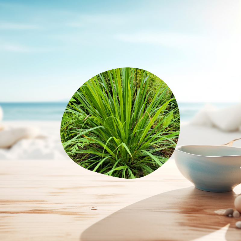 Huile essentielle de Citronnelle bio utilisation