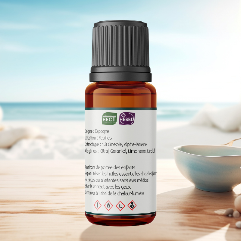 Huile essentielle Eucalyptus Globulus pure et naturelle
