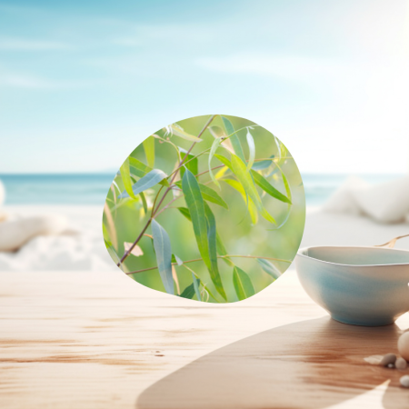Huile essentielle d'eucalyptus radié utilisation