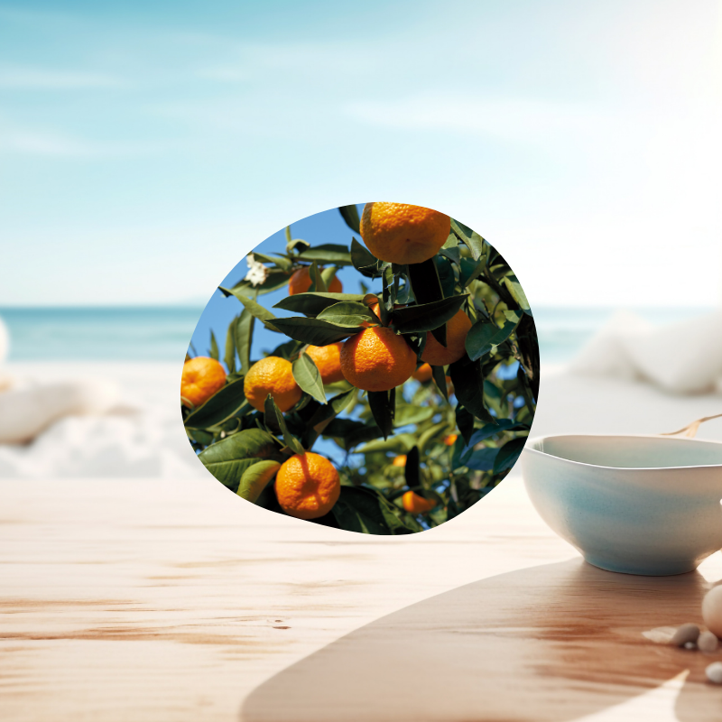 Huile essentielle de mandarine utilisation