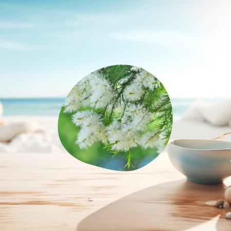 Huile essentielle de tea tree utilisation