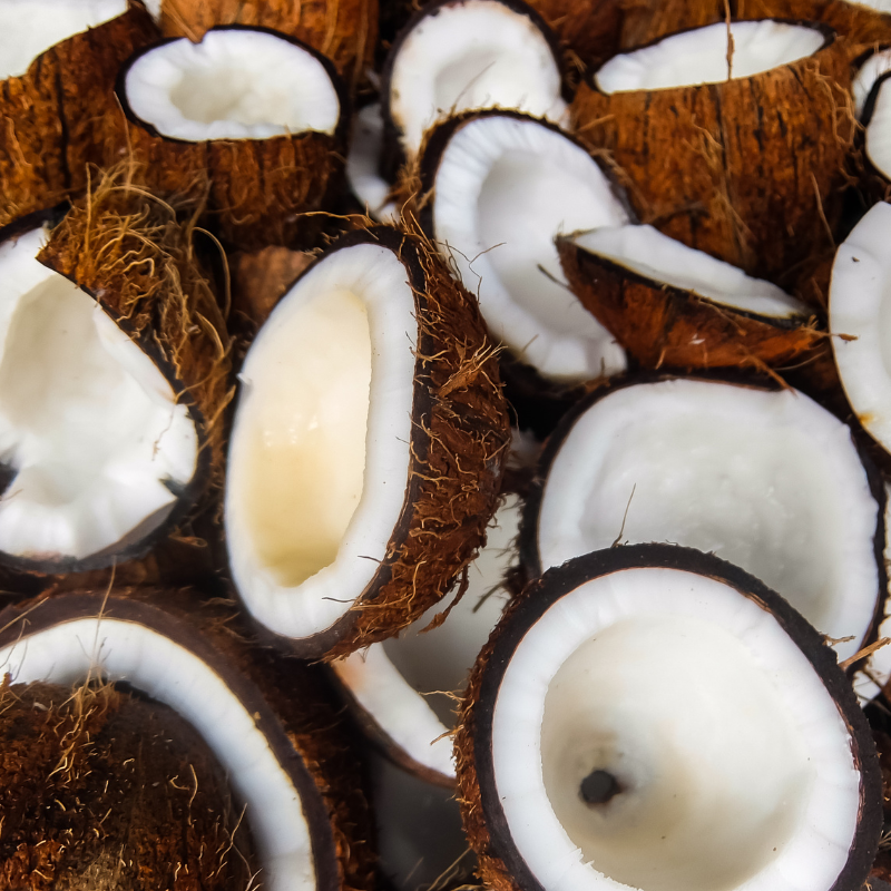 Huile de coco non raffinée non désodorisée