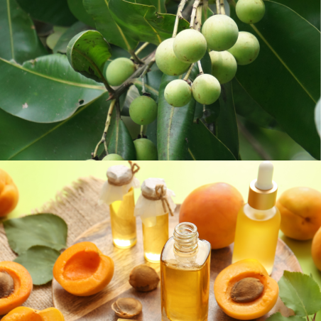Huile de soin noyaux abricot et calophylle