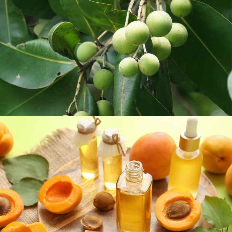 Huile de soin niaouli abricot calophylle