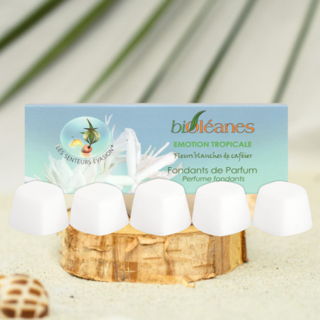 Fondant parfumé bioléanes