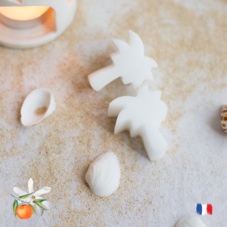 Fondants parfumés monoï clémentine