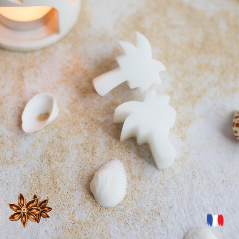 Fondants parfumés Anis étoilé