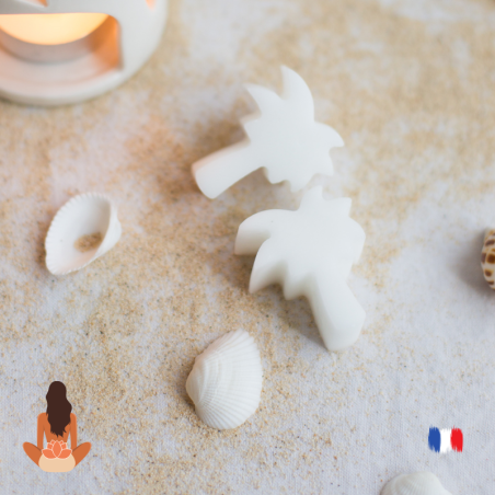 Fondants parfumés ambiance relaxante pour brule parfum
