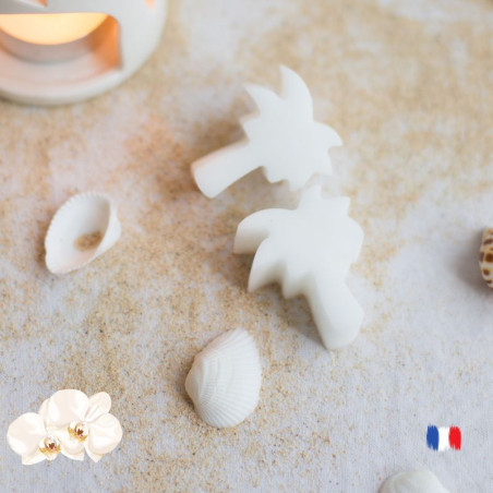 Fondants parfumés orchidée blanche