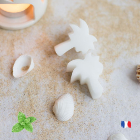 Fondants parfumés menthe fraîche pour brule parfum