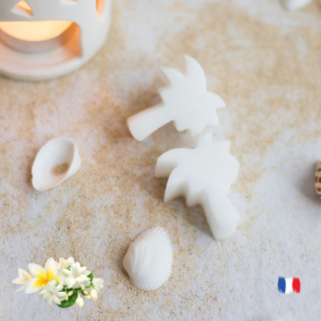 Fondants parfumés Frangipanier Jasmin