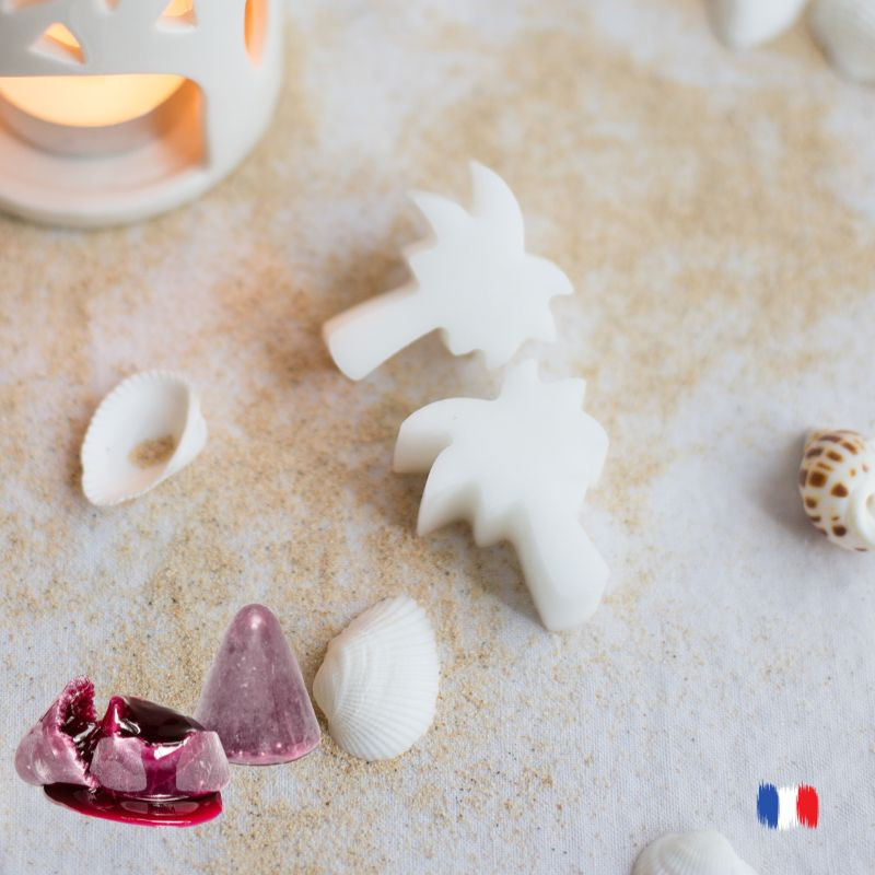 Fondants parfumés CUBERDON pour brûle parfum