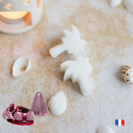 Fondants parfumés CUBERDON pour brûle parfum
