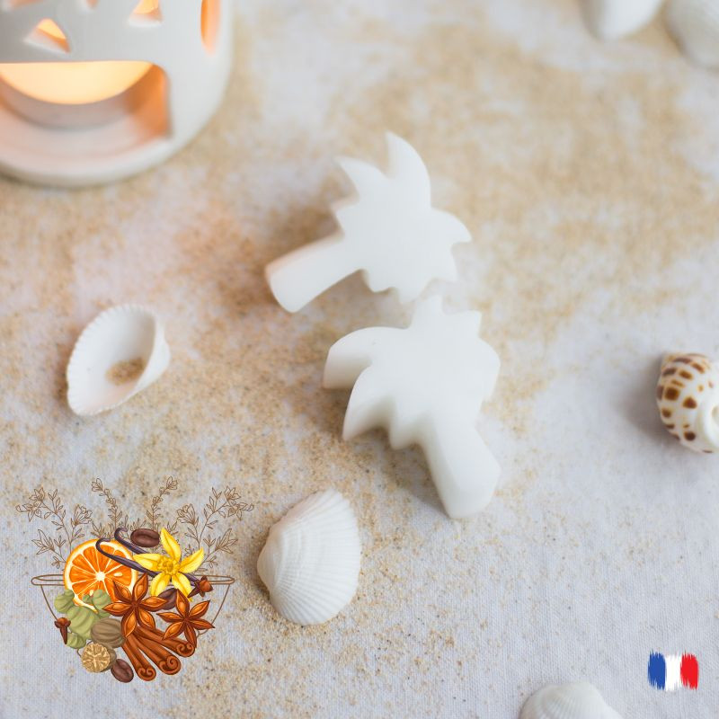 Fondants parfumés bain d'épices gourmandes