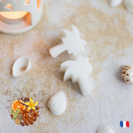 Fondants parfumés bain d'épices gourmandes