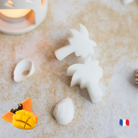 Fondants parfumés mangue papaye création artisanale