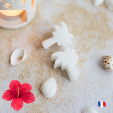 Fondant parfumés hibiscus