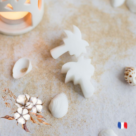 Fondants parfumés fleur de coton pour brûle-parfum