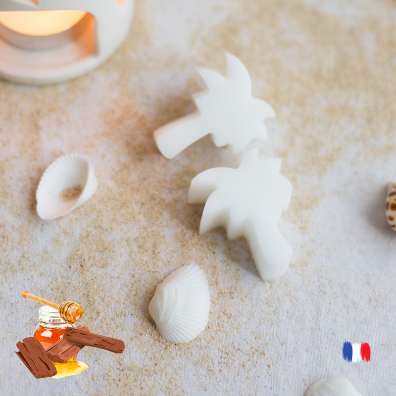 Fondants parfumés Miel et Santal pour brule parfums