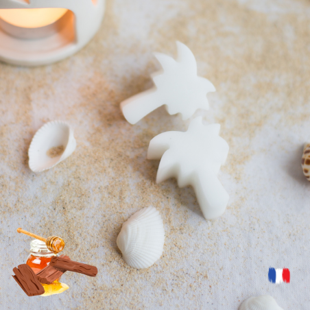 Fondants parfumés Miel et Santal pour brule parfums