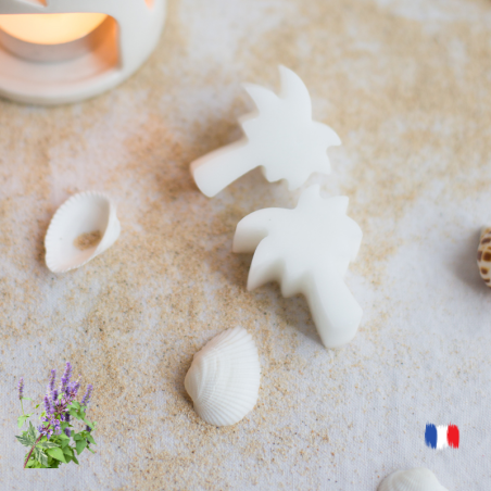 Fondants parfumés Patchouli
