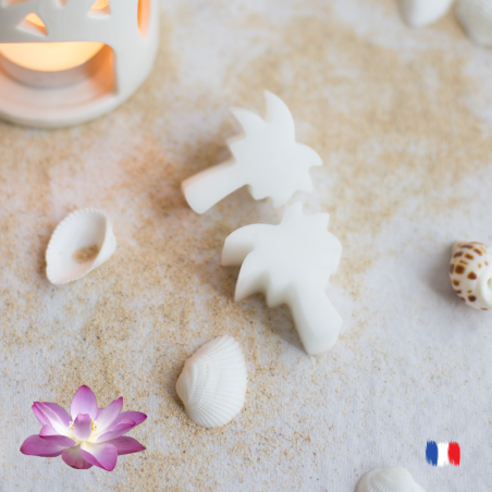 Fondants parfumés lotus parfum de Grasse