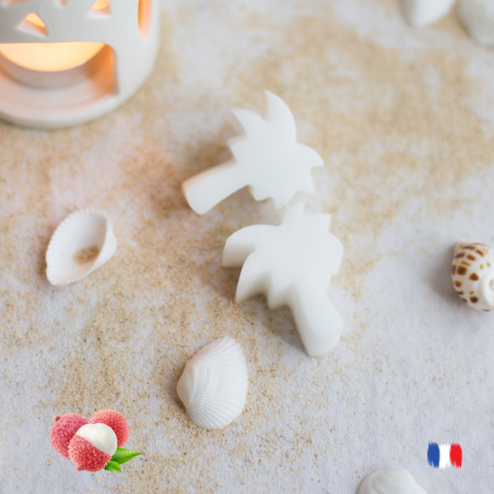 Fondants parfumés litchi cire végétale