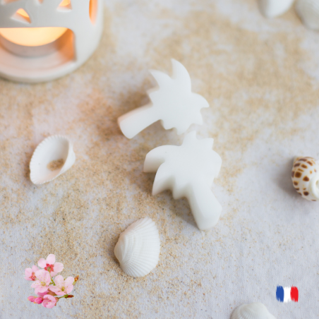 Fondants parfumés pour brûle parfum fleur de cerisier sakura