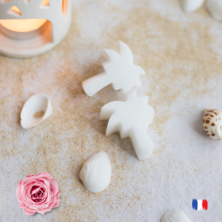 Fondants parfumés à la rose pour brule parfums