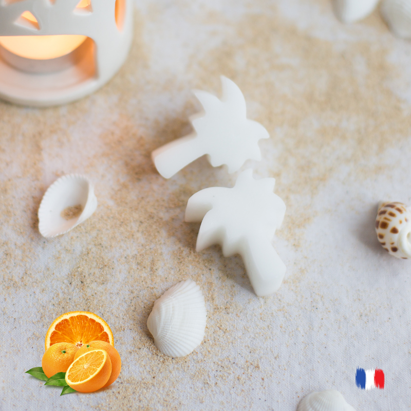 Fondants parfumés à l'orange pour brûle parfums