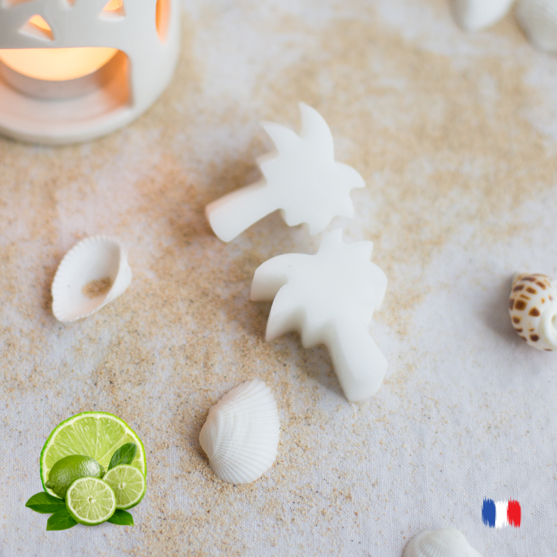 Fondants parfumés citron vert pour brule parfums