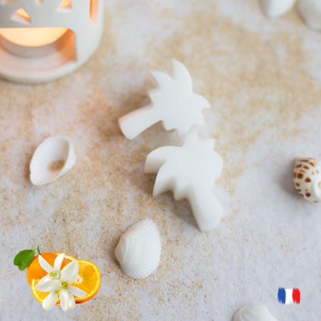 Fondants parfumés à la fleur d'oranger pour brûle parfum