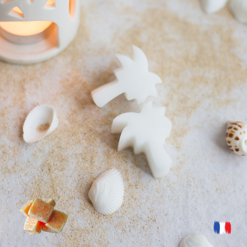 Fondants parfumés musc pour brule parfums